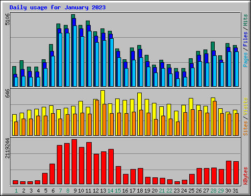 Daily usage for January 2023