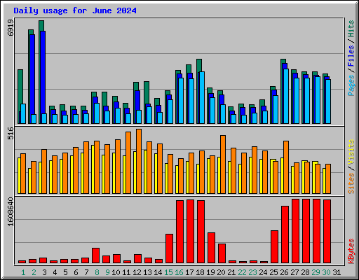 Daily usage for June 2024