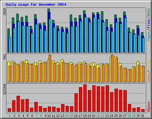 Daily usage for December 2024