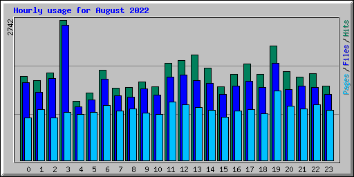 Hourly usage for August 2022