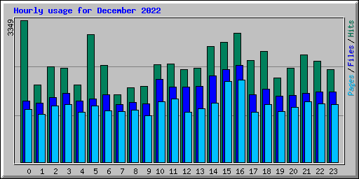 Hourly usage for December 2022