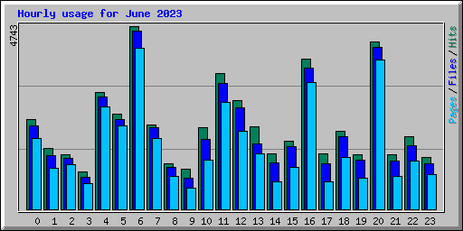 Hourly usage for June 2023