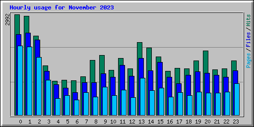 Hourly usage for November 2023