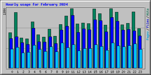 Hourly usage for February 2024