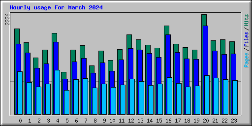 Hourly usage for March 2024