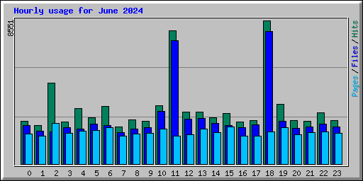 Hourly usage for June 2024