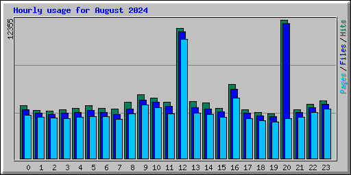 Hourly usage for August 2024