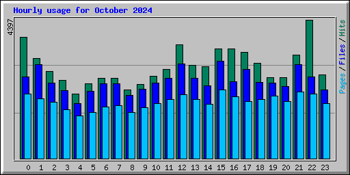 Hourly usage for October 2024