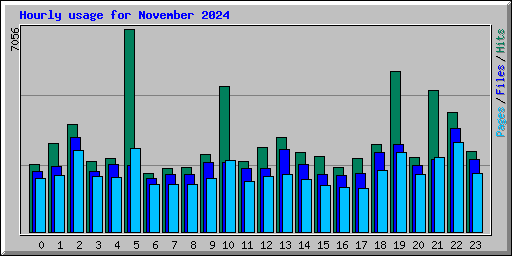 Hourly usage for November 2024