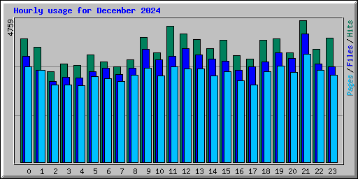 Hourly usage for December 2024