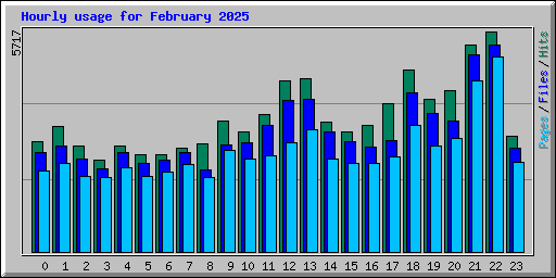 Hourly usage for February 2025