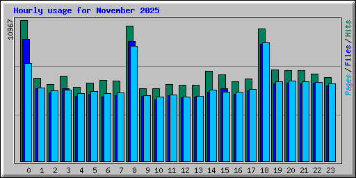 Hourly usage for November 2025