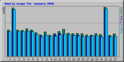 Hourly usage for January 2026