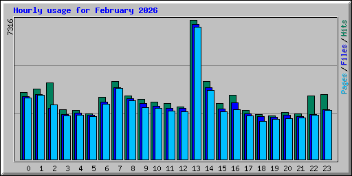 Hourly usage for February 2026