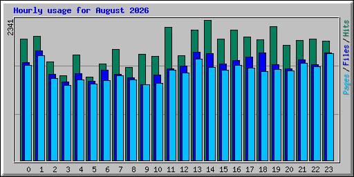 Hourly usage for August 2026