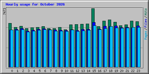 Hourly usage for October 2026